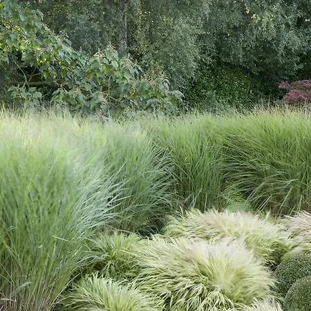 Bed & Breakfast Au Grenier