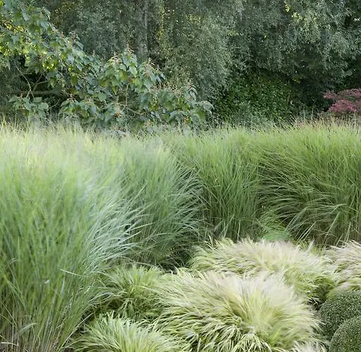 فندق مبيت وإفطار Au Grenier